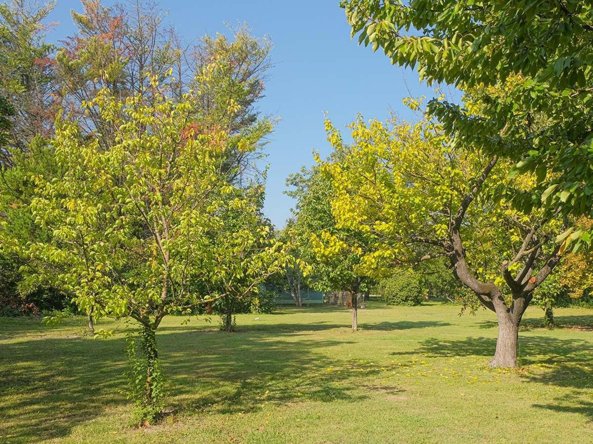 Bed and Breakfast Montjoia Л'Иль-сюр-ла-Сорг Экстерьер фото